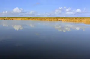 Lower Saxony Germany Landscape Drucke: Cumulus clouds reflected in water