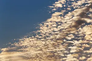 Blue Evening Atmosphere Drucke: Cumulus clouds, source clouds, cumulus clouds in evening sky