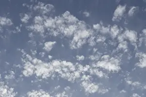 Cumulus Clouds Drucke: Cumulus white clouds in a blue sky
