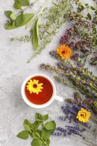 Calendula Tea Drucke: Cup of herbal tea with calendula