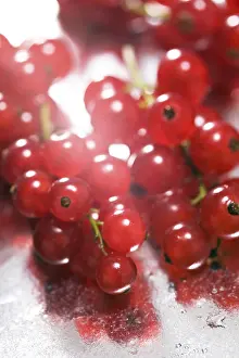 Red Currants Drucke: Currants