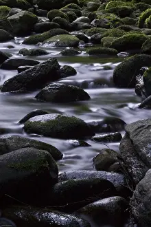 Uninhabited Waterscape Drucke: Current over stones