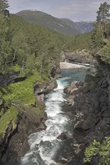 Waterfront Landscape Drucke: Curvy stream running fast between the rocks