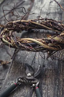 Deciduous Tree Crown Drucke: Cut grape branches twisted into crown manually