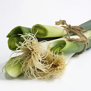 Spermatophyte Plant Images Drucke: Cut leeks tied with string, on a white background