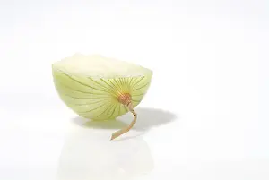 Studio Shot Vegetable Drucke: Cut through onion