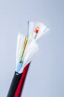 White Background Electronics Drucke: A cut-open network cable and a cut-open optical fibre patch cable with shielding on a white background