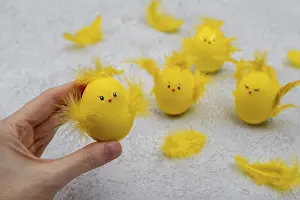 Cute Chicks Drucke: Cute yellow Easter eggs in the shape of chicks surrounded by feathers on a grey background