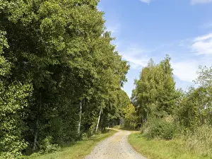 East Germany Landscapes Drucke: Cycle path and sandy path, Schlepzig