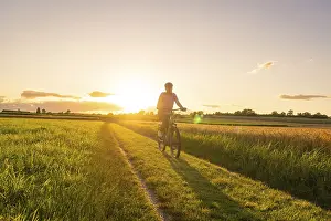 Black Forest Evening Atmosphere Drucke: A cyclist rides on a path in the middle of wheat fields at sunset