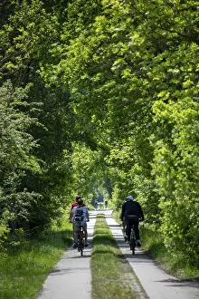 Bilder Datiert 8. Mai 2024: Cyclist tree lined path countryside