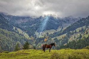 European Wilderness Drucke: D, Sudelfeld, HDR