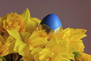 Traditional Easter Decorations Drucke: Daffodils and painted Easter egg, Dresden, Saxony