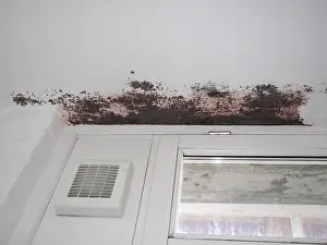 Rainy Weather Conditions Drucke: Dampness moisture on wall