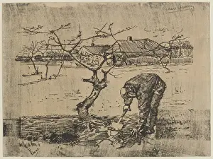 Impressionistische Kunst Drucke: Im Obstgarten