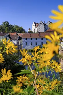 Danube River Waterfront Scenes Drucke: Danube with Scheer Castle, Scheer