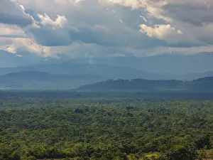 Overcast Sky Nature Scene Drucke: Dark clouds over the Amazon rainforest