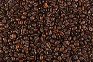 Hipposideridae Drucke: Detail eines dunklen Kaffeebohns.