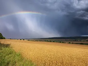 German Countryside Evening Scene Drucke: Dark dramatic storm clouds and rainbow over wheat field in the evening light