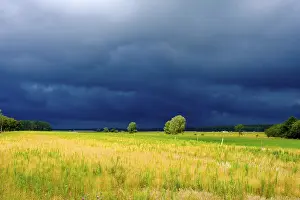 Overcast Sky Central Europe Drucke: Dark storm clouds over sunlit meadows and fields