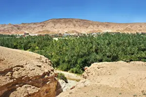 Deserted Sandstone Rock Formations Drucke: Date palms of the oasis of Mides