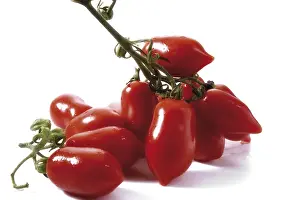 Vitamin Rich Tomatoes Drucke: Date tomatoes