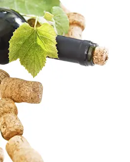 White Studio Background Images Drucke: Dated wine bottle corks and bottle on the white background with copy space