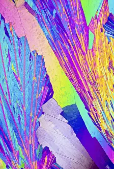 Macro Photography Of Minerals Drucke: A dazzling microscopic image capturing the crystalline structure of Adipic acid