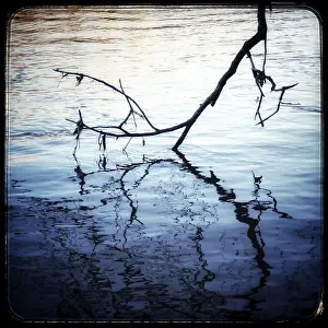 Deserted Waterfront Photo Drucke: Dead branch of the fallen tree in a river