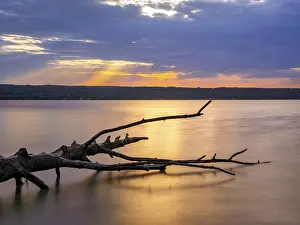 Southern German Lake Scenery Drucke: Dead tree trunk lying in water