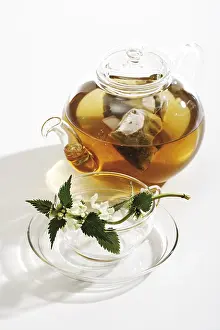 Indoor Leafy Plants Drucke: Deadnettle tea in teapot