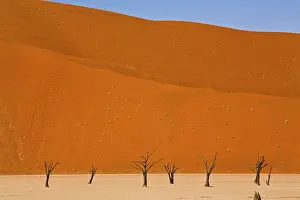 Gerahmter Druck : Deadvlei, Namibia
