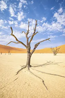 Namibia Desert Landscape Drucke: Deadvlei plain area in the desert of Namibia