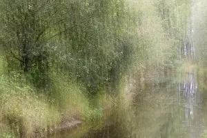Long Time Exposure Photography Drucke: Deciduous forest on a stream, blurred
