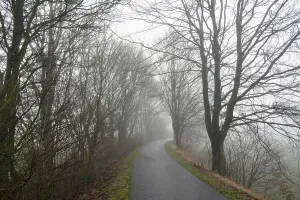 German Countryside Winter Drucke: Deciduous trees by the wayside