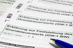 Uninhabited Construction Sites Drucke: Declaration of property tax value