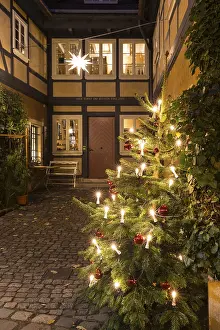 Dresden Saxony Germany Drucke: Decorated Christmas tree