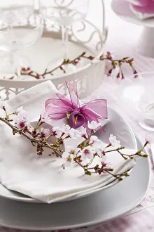 Ornate Gift Presentation Drucke: Decorated table in white with small present for the guests