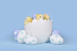 Holiday Gift Ideas Drucke: Decorative chicken in large egg shell with painted Easter eggs in front of blue background