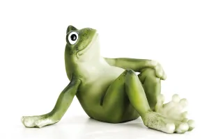 Gerahmter Druck : Zierfrosch Gerahmter Druck : Zierfrosch