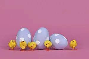 Colorful Bird Images Drucke: Decorative small easter chickens and eggs on pink background