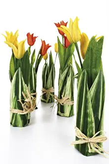 Red Tulips Drucke: Decorative tulips