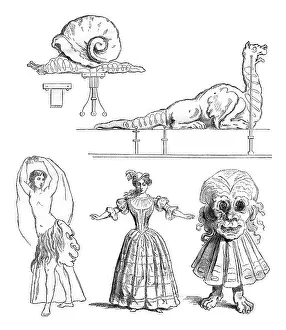 Vintage Ornate Decoration Drucke: Decors opera, Spiral dragon transformations