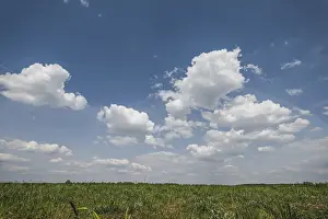 Countryside Landscape Shot Drucke: Deep blue sky with clouds over the field