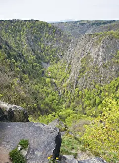Harz Mountains Landscape Drucke: Deep gorge surrounded by forest and steep rock faces