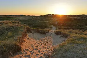 Sandy Dune Landscape Europe Drucke: Deep sun illuminates the dune landscape