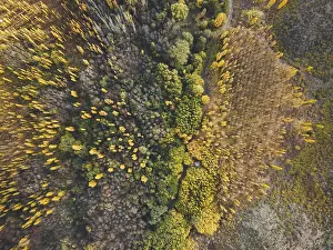 Mountain Chain Landscape Drucke: Default