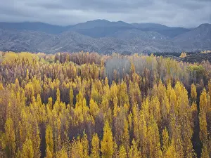 South American Wilderness Scene Drucke: Default