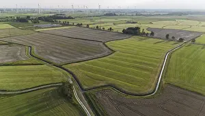 Northern Germany Landscape Drucke: Default