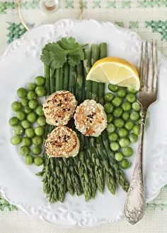 Vegetable Meal Ideas Drucke: A delicious dinner of roasted scallops